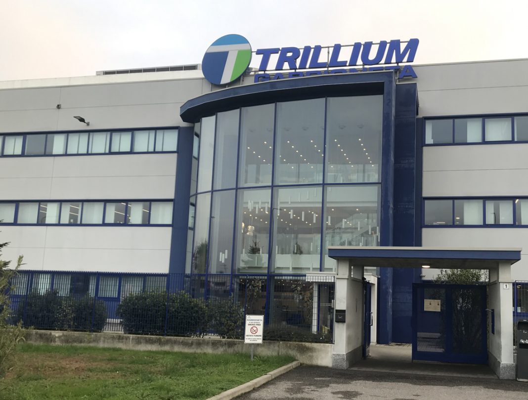 Trillum Pumps Italy – Gabbioneta Pumps I