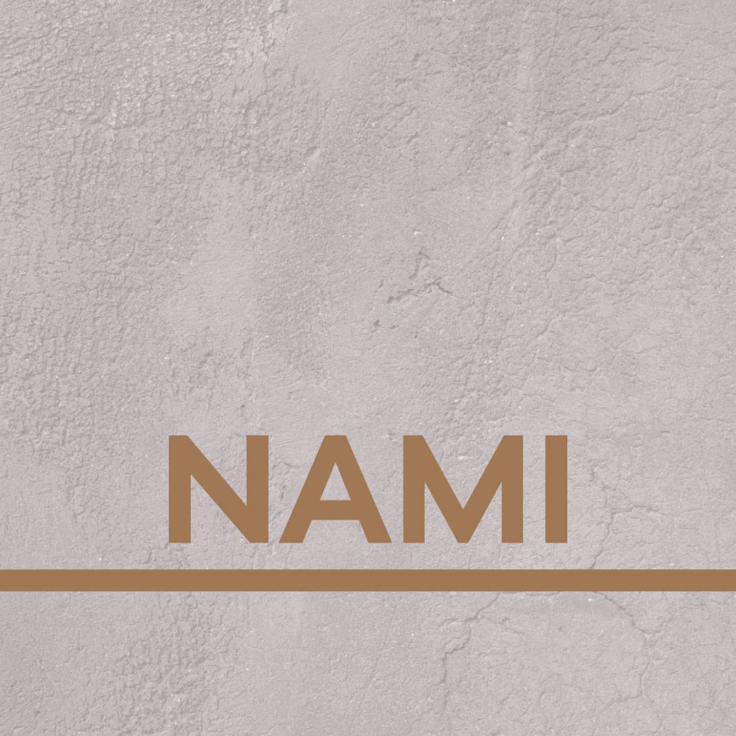 NAMI gallery