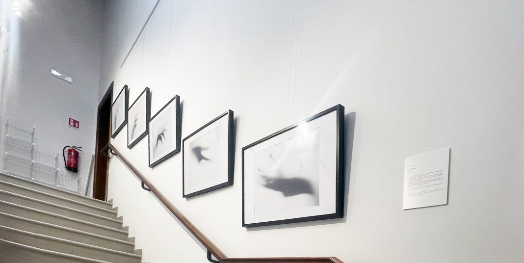 Jam Studio – Stairs