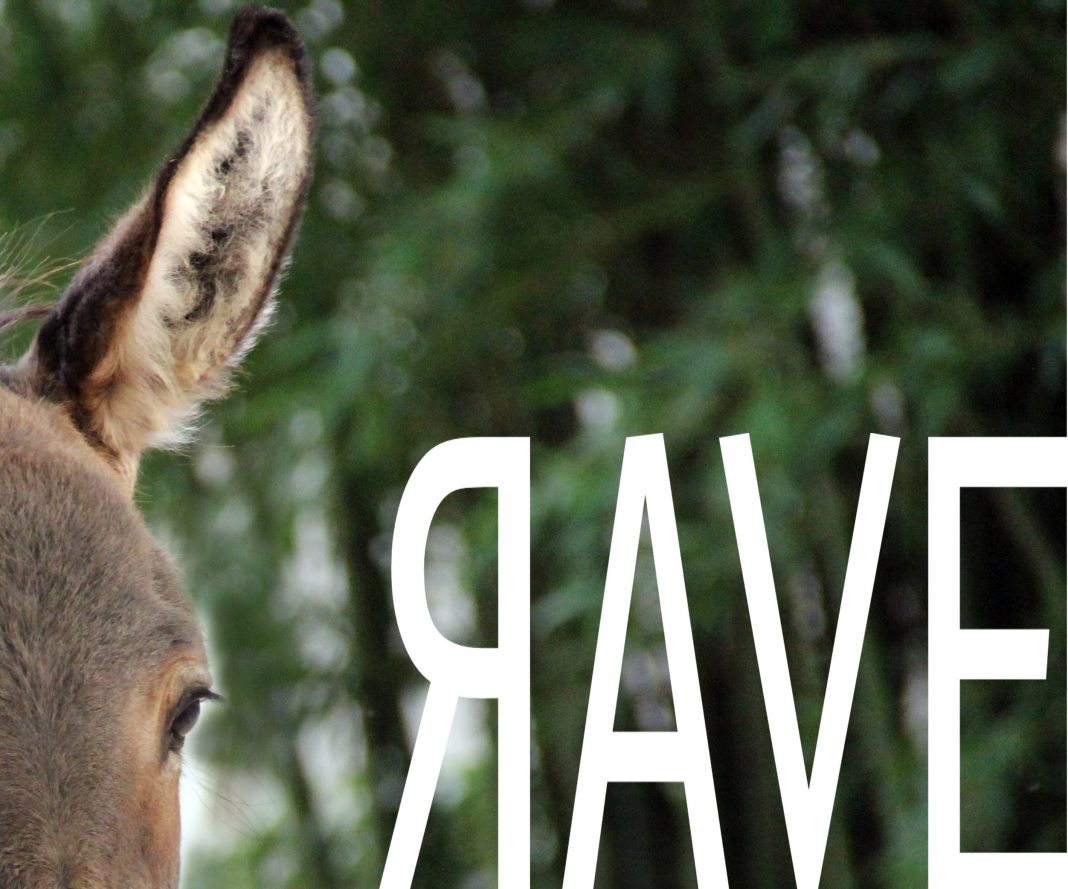 RAVE East Village Artist Residency