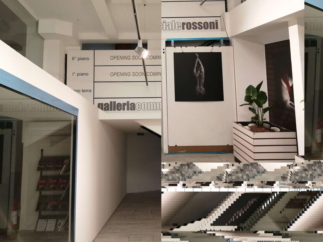 Art Gallery & Meeting