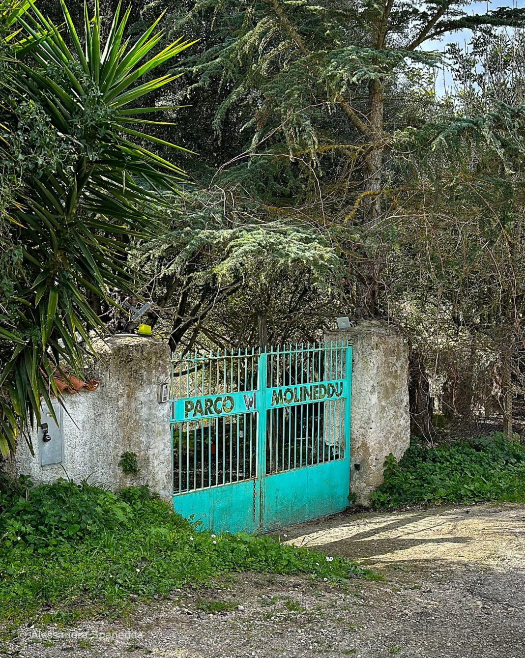 Parco delle Arti Molineddu