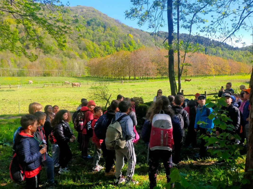 Sentiero dei Sarvanot, località Fournaco