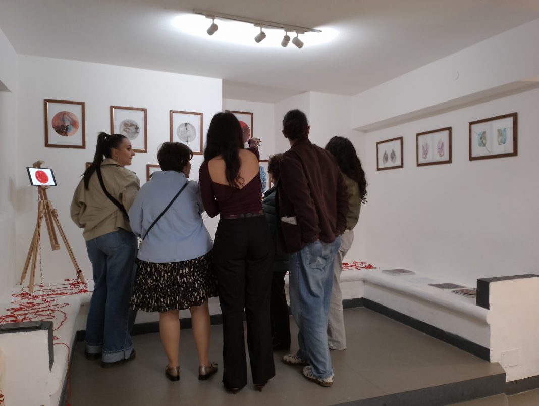 Galleria di Comunità (ME)