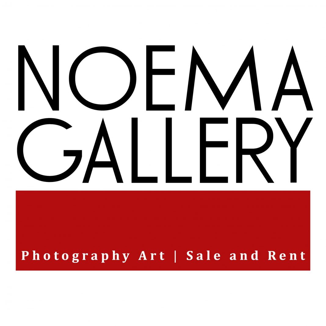 NOEMA GALLERY