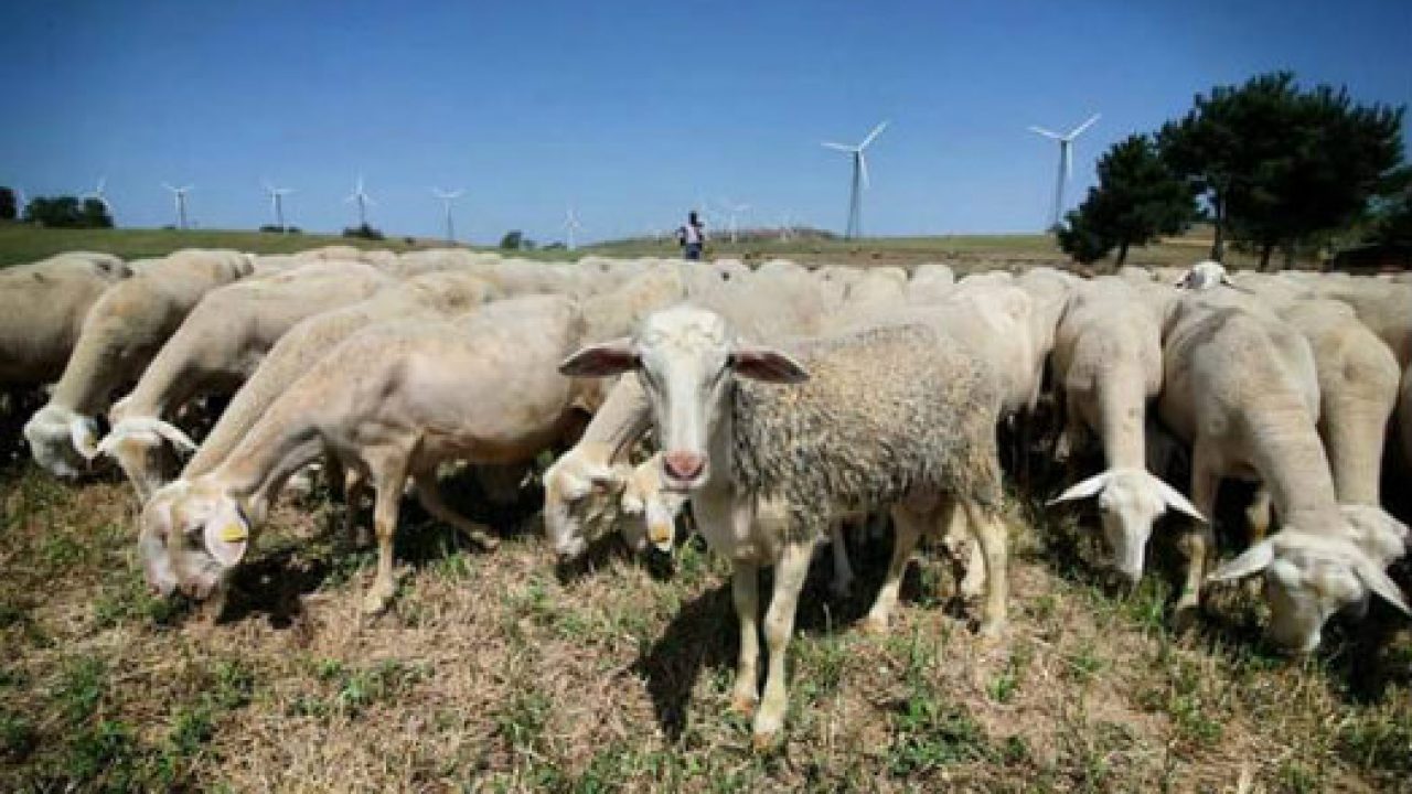 Suono E Immagine Sistemi Audio Video E Illuminazione