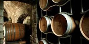 CANTINA PIETRATORCIA