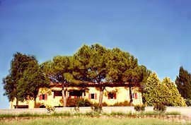 HOLY WOOD CENTRO DI ARTI E CULTURE