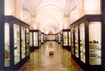 MUSEO CIVICO ARCHEOLOGICO ETNOLOGICO – PALAZZO DEI MUSEI